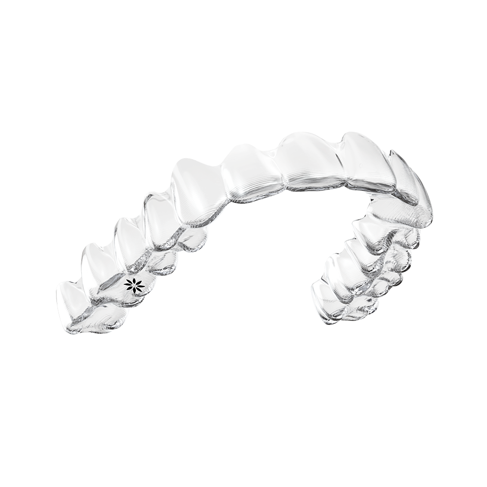 Invisalign Provider